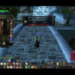 Удаление персонажа Paladin World of Warcraft classic server