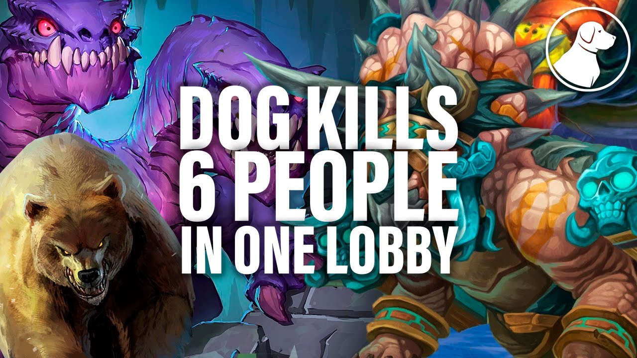 Dog Accidentally Power Levels and Kills 6 People | Dogdog Hearthstone Battlegrounds