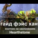 Hearthstone (хартстоун) гайд - Фэйс охотник колода на заклинаниях