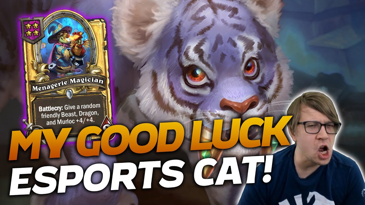 My Good Luck Esports Cat! | Hearthstone Battlegrounds | Savjz